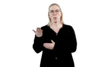 túlkaþjónustun