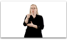 Neyðartúlkun 112